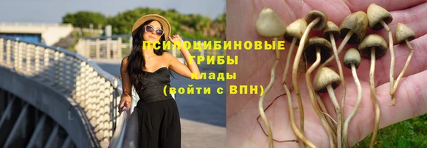 марки nbome Алексин