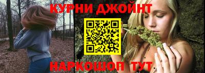 индика Бердск