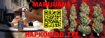 индика Бердск