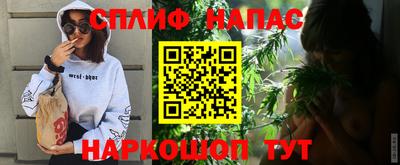 индика Бердск