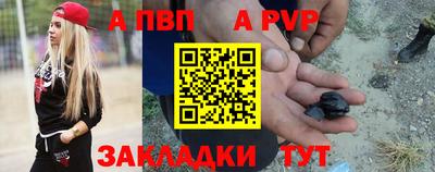 индика Бердск