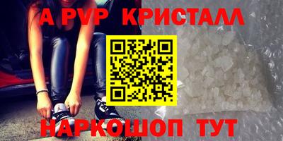 индика Бердск