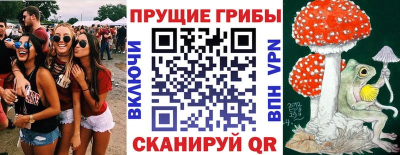 Галлюциногенные грибы GOLDEN TEACHER  цены наркотик  Карабулак 