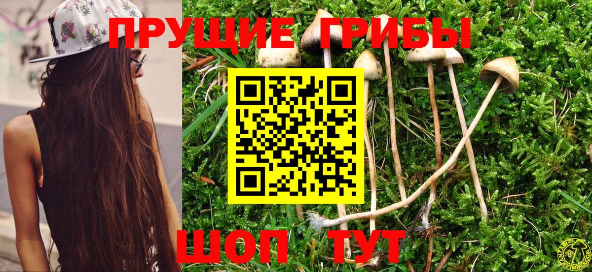 как найти закладки  Галлюциногенные грибы Magic Shrooms  Вход с VPN  Карабулак 